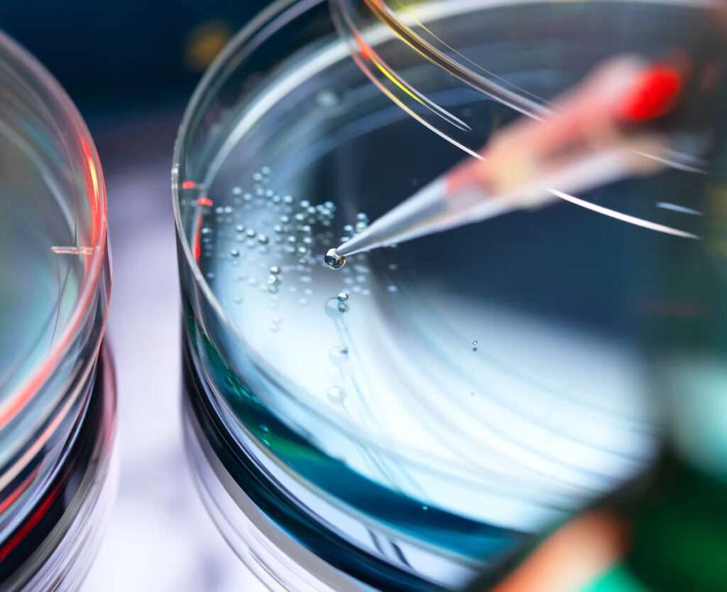 82fcd3 9de2b3736dd24d02a9a63b2cd6c1e742mv2