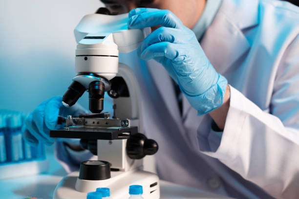 istockphoto 1621109088 612x612